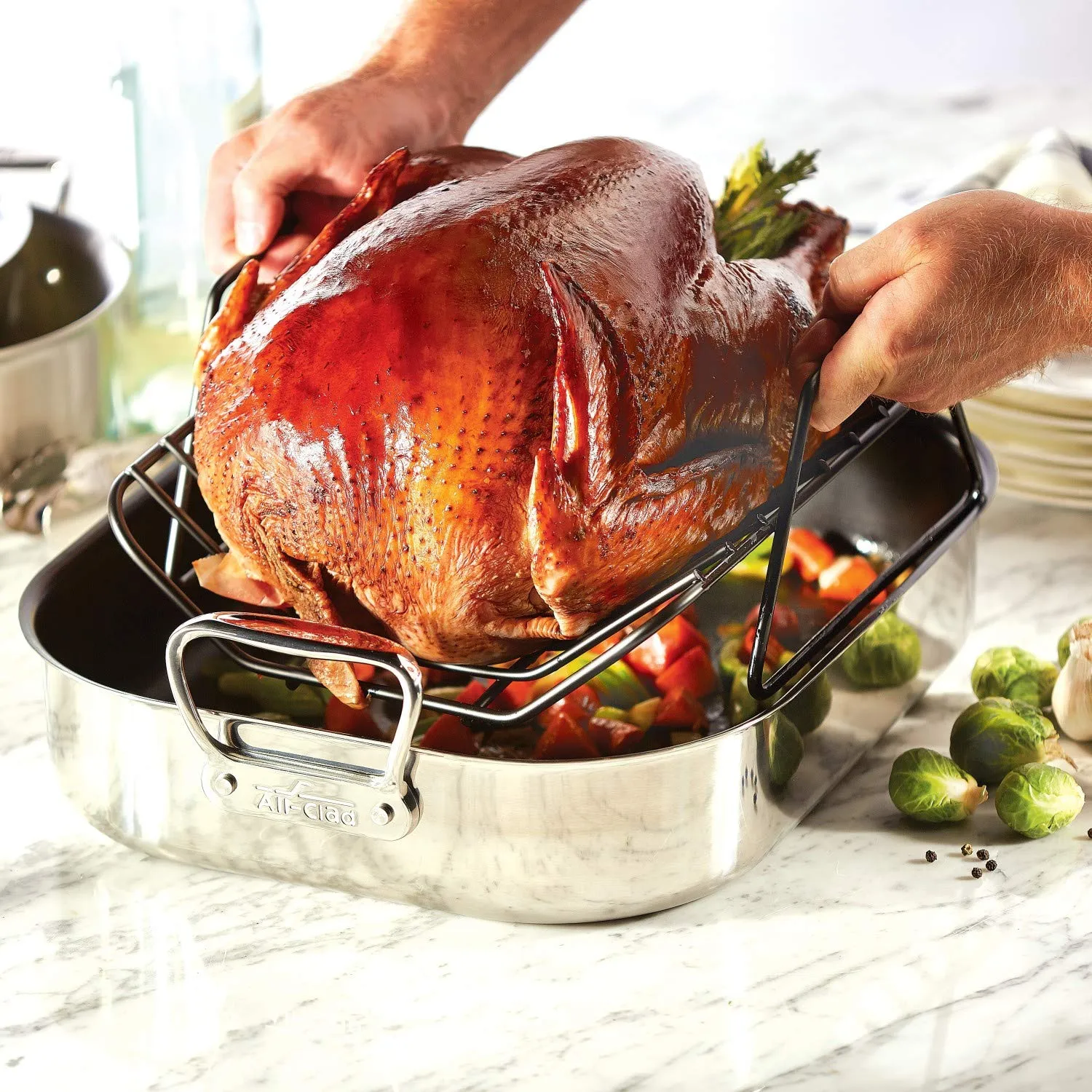 All-Clad Specialty Stainless Steel Large Roaster with Nonstick Rack 13x16 Inch Oven Broiler Safe 500F Roaster Pan, Pots and Pans, Cookware Silver