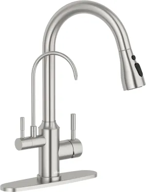 APPASO Kitchen Faucet with Water Filter, Pull Out 3 Way Sink Faucets with Sprayer, High Arch 2 Handle Faucet with Water Purifier - 3 in 1 Faucet Brushed Nickel (Without Water Filtration Device)