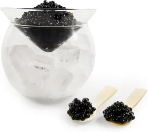 Caviar Server Set Glass Caviar Dish with 2 Pcs Shell Caviar Spoons Chiller Server with Ice Holder for Shrimp Ice Cream Martinis and Cocktails Dishwasher Safe Caviar Serving Dish