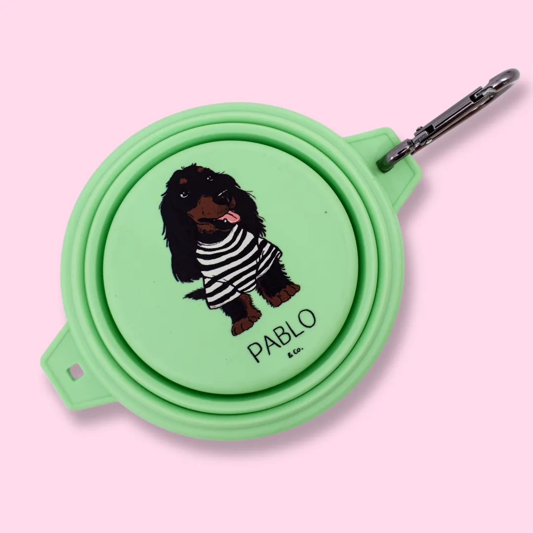 Collapsible Dog Bowl