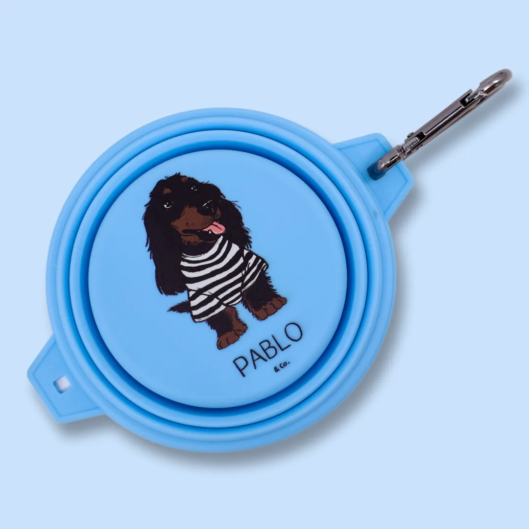 Collapsible Dog Bowl
