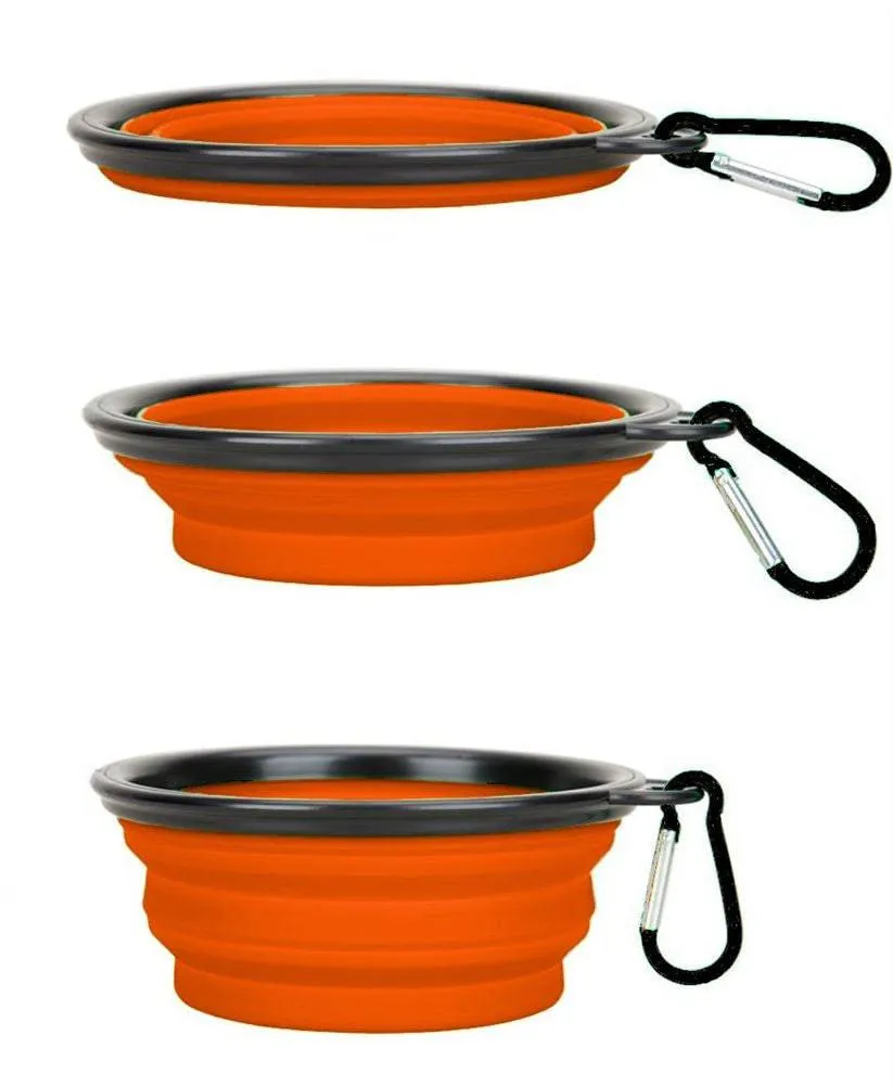 Collapsible Travel Bowl With Carabiner