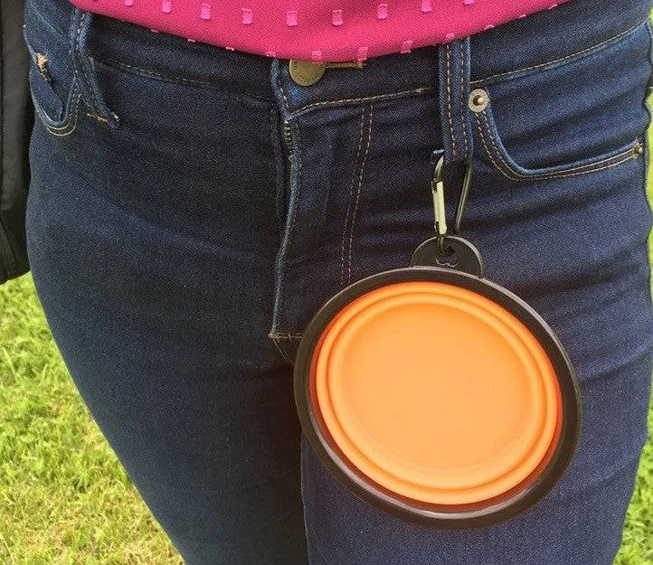 Collapsible Travel Bowl With Carabiner