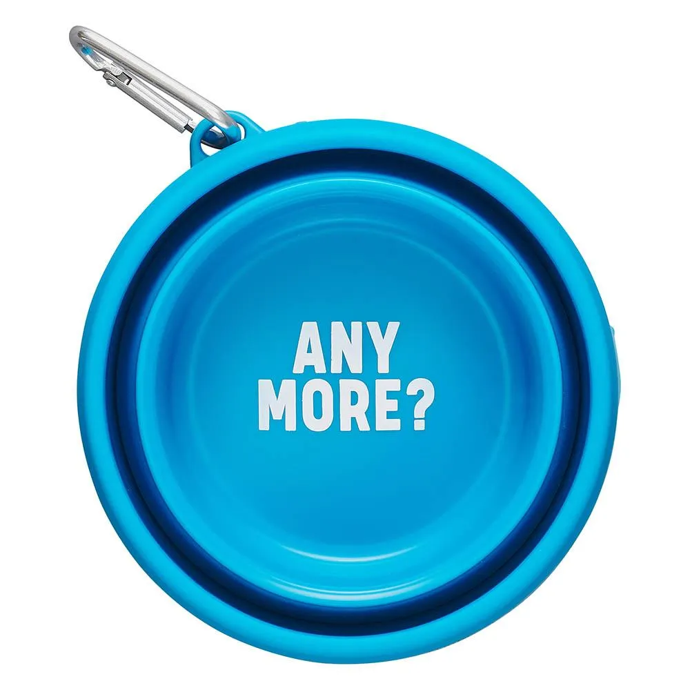Collapsible Travel Bowl