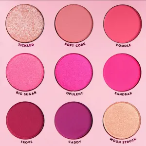 Colourpop Eyeshadow Palette OOH LA LA - Pink Monochromatic Shades, 0.3 Ounce