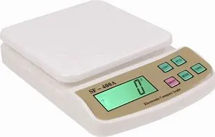 Electronic Compact Scale
