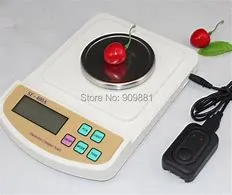 Electronic Compact Scale