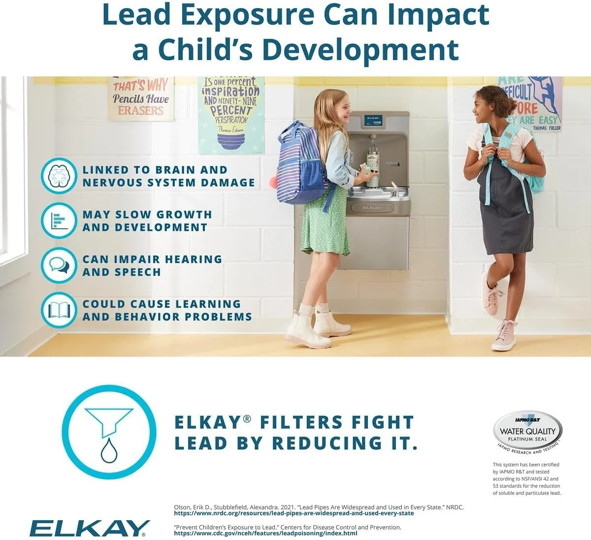 Elkay 51299C WaterSentry Lead   Microplastics NSF/ANSI Certified Filter (Coolers & Fountains)