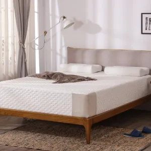Essential Memory Foam 12"