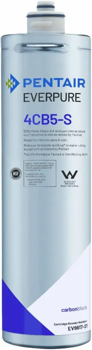 Everpure EV961721 EV9617-21 4CB5-S Filter Cartridge