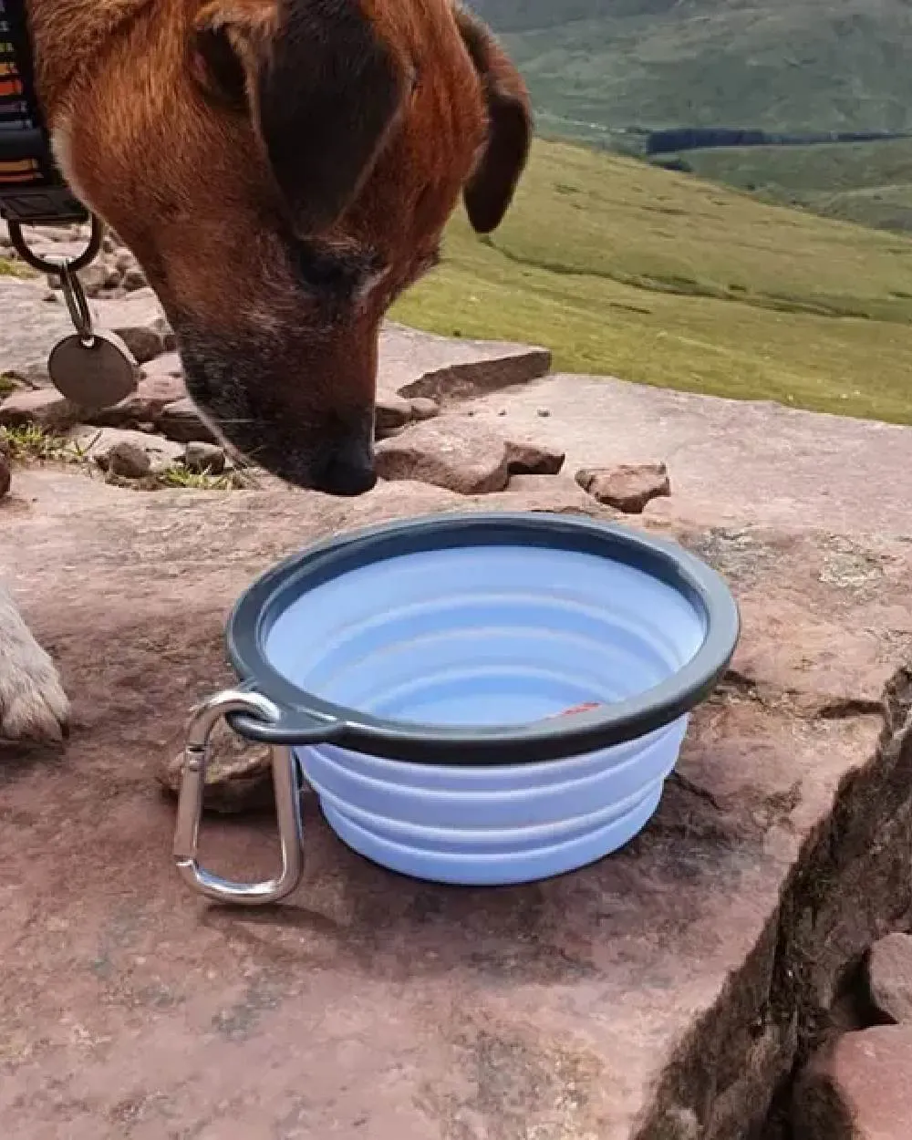 Henry Wag Pet Travel Bowl