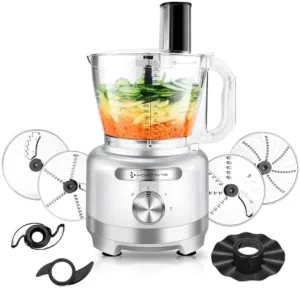 Homtone 16 Cup Food Processor, 9 Functions 7 Blades 3 Speeds for Shredding, Slicing, Doughing, Emulsfying and Meat Vegetable Chopping for Home Use, 600W (Sliver)