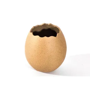 Ice Cream Bowl Egg Ostrich Eggshell Bowl