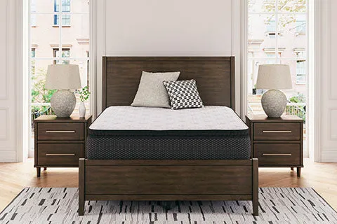Limited Edition PT King Mattress