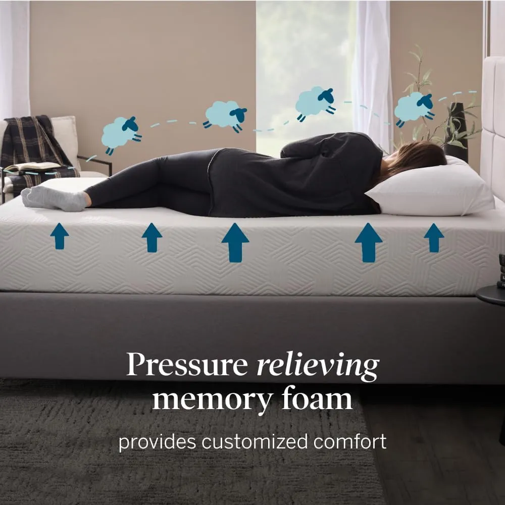 LUCID 10 Inch Memory Foam Mattress - Firm Feel - Infused with Bamboo Charcoal and Gel - Bed in a Box - Temperature Regulating - Pressure Relief - Breathable - Queen Size