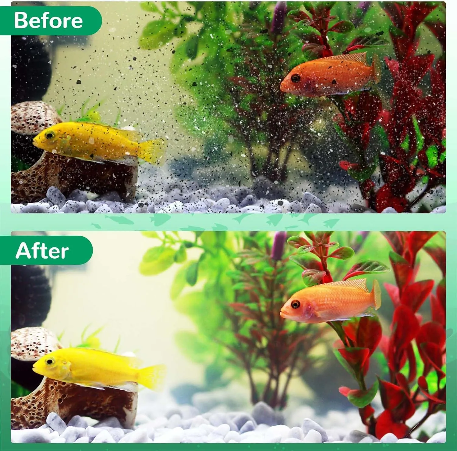 Medium Aquarium Filter Cartridge for Whisper Bio Bag Power Filters, Medium Filter Cartridges for Repto Filter