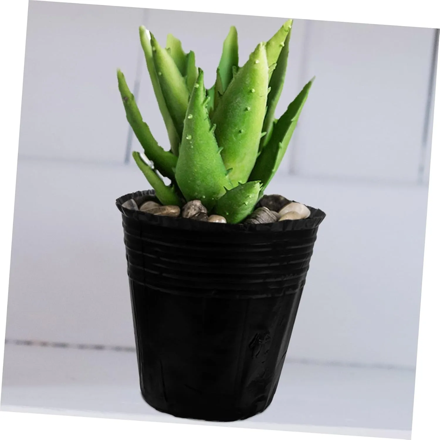 Milisten 300 Pcs Grow Bag Tea Bag Container Vegetables Plant Nursery Bag Supplies Drip Fittings Teapot Mini Collapsible Release Plant Pots Starting Planting Bags Hydroponics Tree or Black