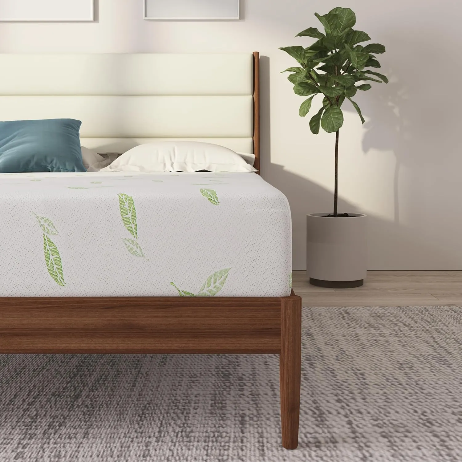 NapQueen Twin Size, 6 Inch Anula Green Tea Infused Memory Foam Mattress, Bed in a Box, CertiPUR-US Certified