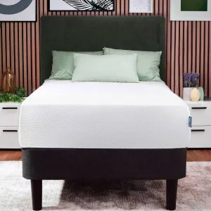 Nestl Green Tea Twin Mattress 10 Inch - Cooling Graphite Memory Foam Twin Mattress for Kids, Fiberglass Free Pressure Relief Supportive Bed in A Box, CertiPur-US Certified