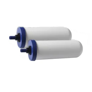 Osmio Coldstream Sentry 2 Pack of FTO  2.9" x 8" Ceramic Gravity Water Filter