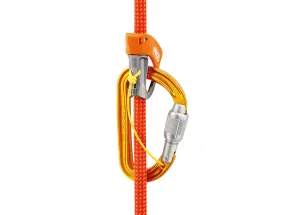 Petzl SmD Screw Lock Climbing Carabiner