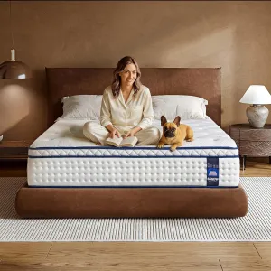 Queen Size Mattress 10 Inch,Medium Firm Queen Hybrid Mattress in a Box,with Multi-Layer Construction&Zoned Support System, Extra Lumbar Support, Motion Isolation for Pressure Relief