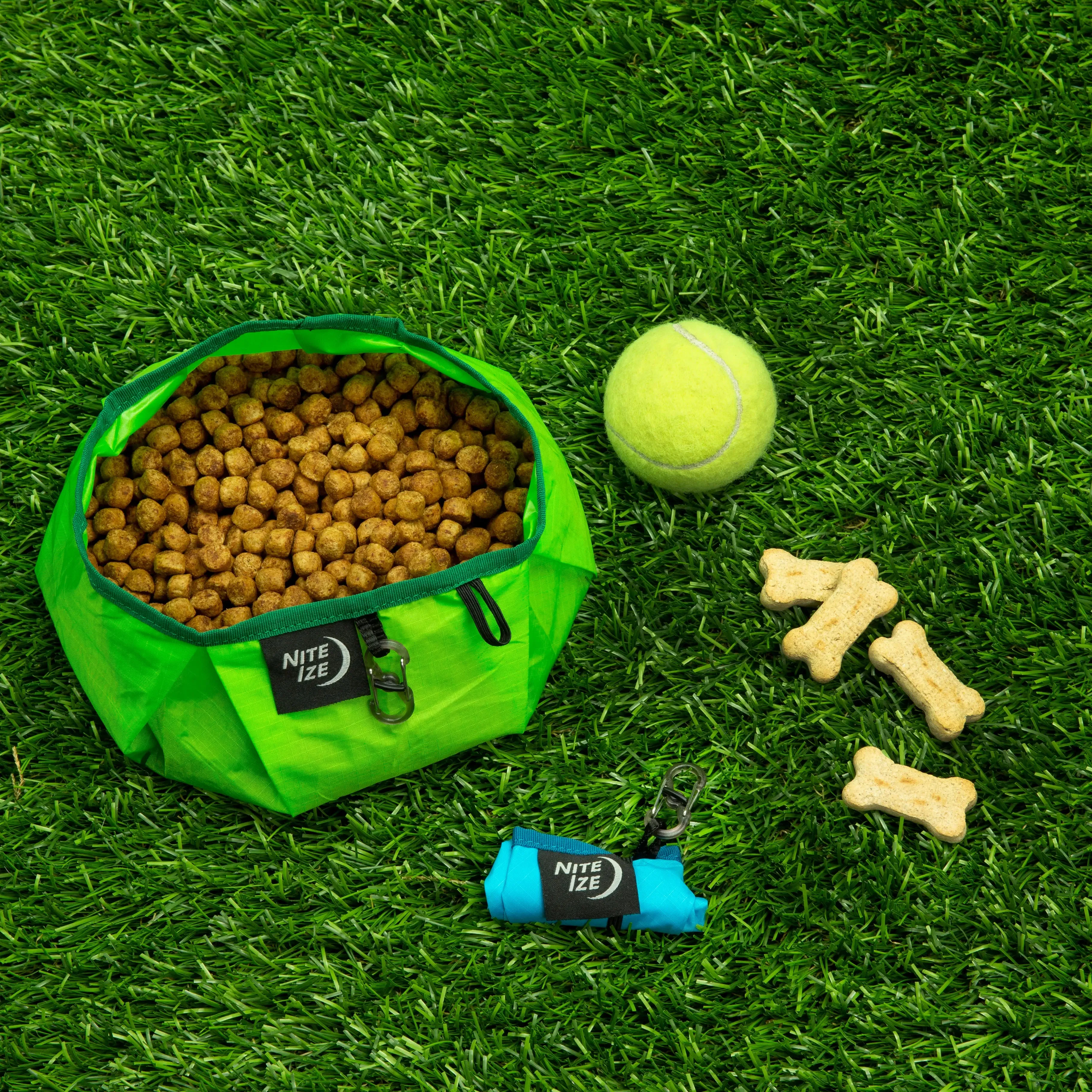 RadDog Collapsible Bowl