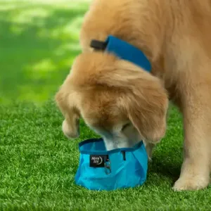 Raddog Collasible Bowl