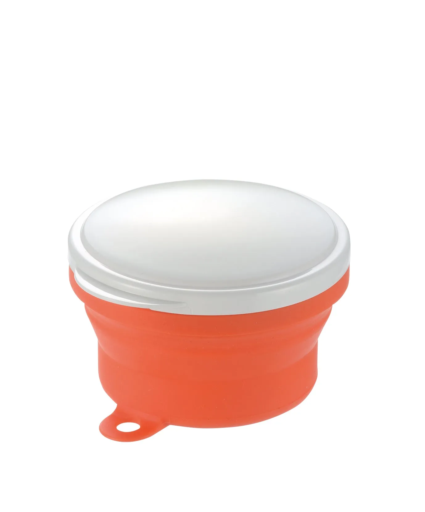 Richell Collapsible Bowl with Spoons