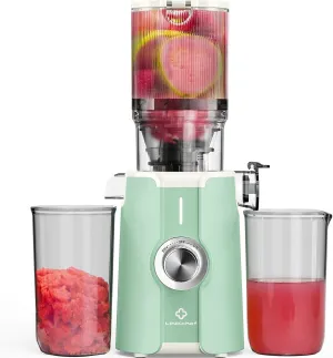 Rush Clear Cold Press Juicer, Slow Juicer Machines with No-Prep 4.35"Feed Chute Fit Whole Fruits & Vegetables, LINKChef Juicer Machines Easy to Clean, 42oz Capacity, 200w, Light Green
