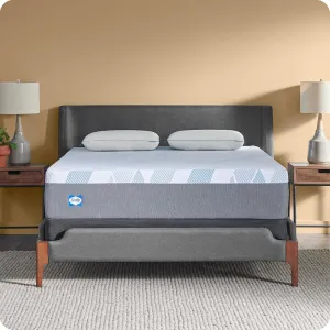 Sealy Dreamlife 12” Foam Mattress-in-a-Box, Full, SealyComfort Gel Memory Foam, SealySupport Transition Foam, Surface-Guard Technology