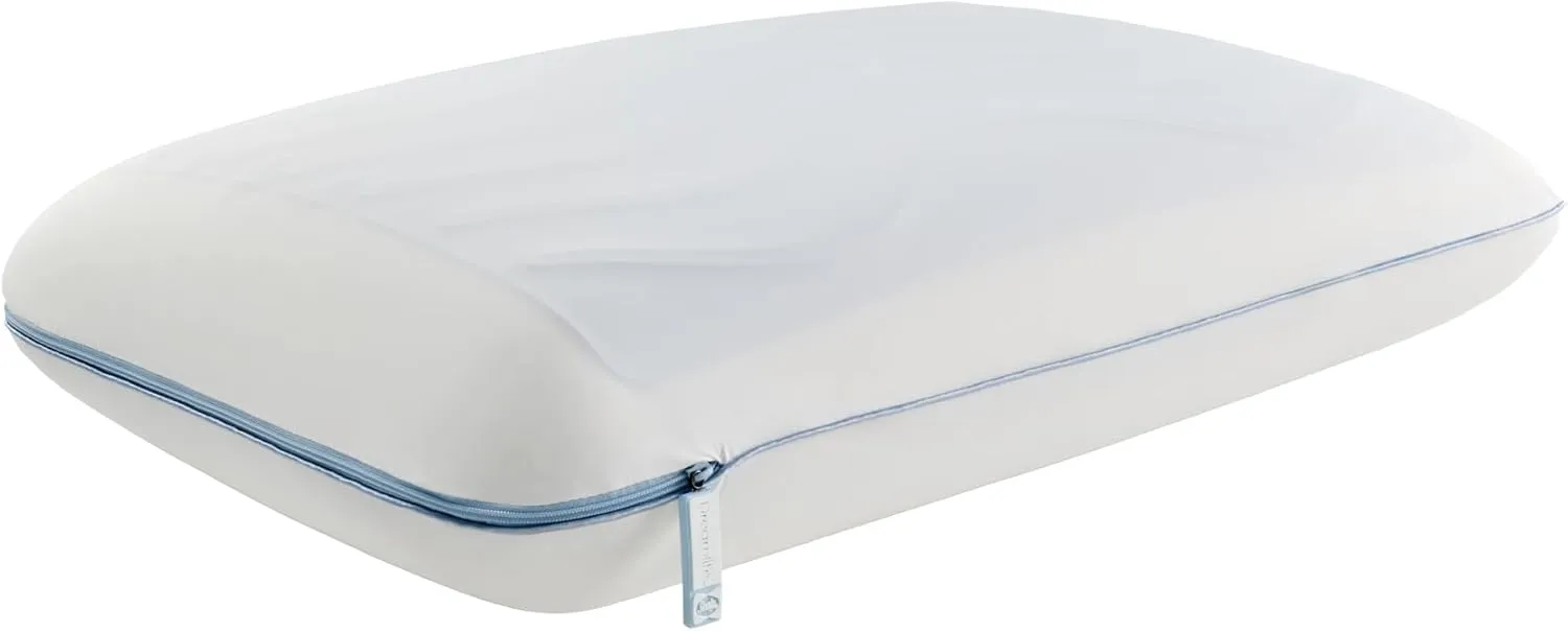 SEALY Dreamlife Memory Foam, Standard Pillow, Queen, White