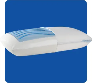 SEALY Dreamlife Memory Foam, Standard Pillow, Queen, White