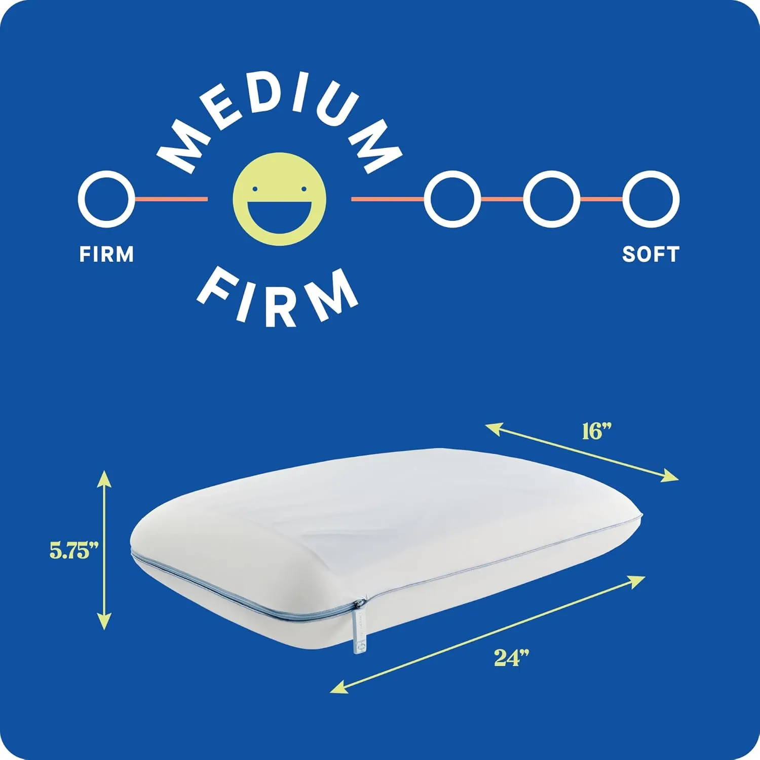 SEALY Dreamlife Memory Foam, Standard Pillow, Queen, White