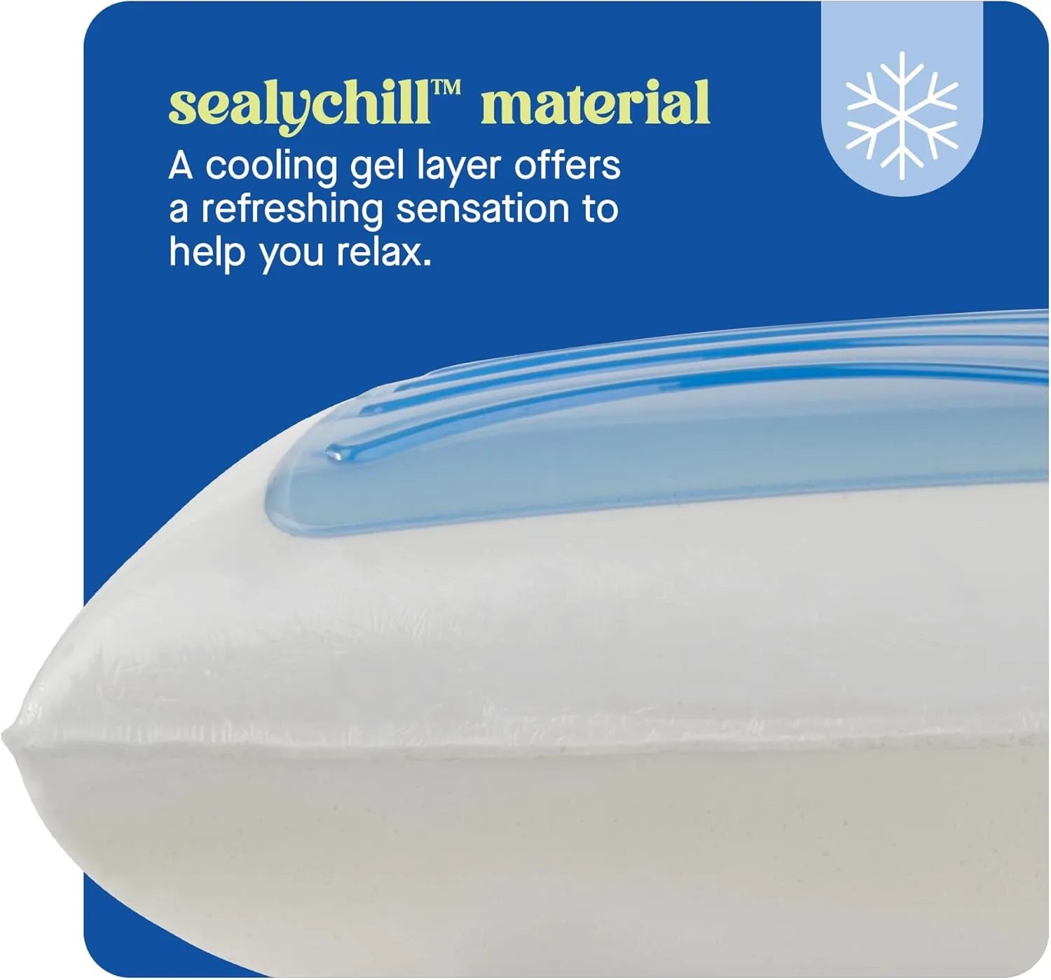 SEALY Dreamlife Memory Foam, Standard Pillow, Queen, White