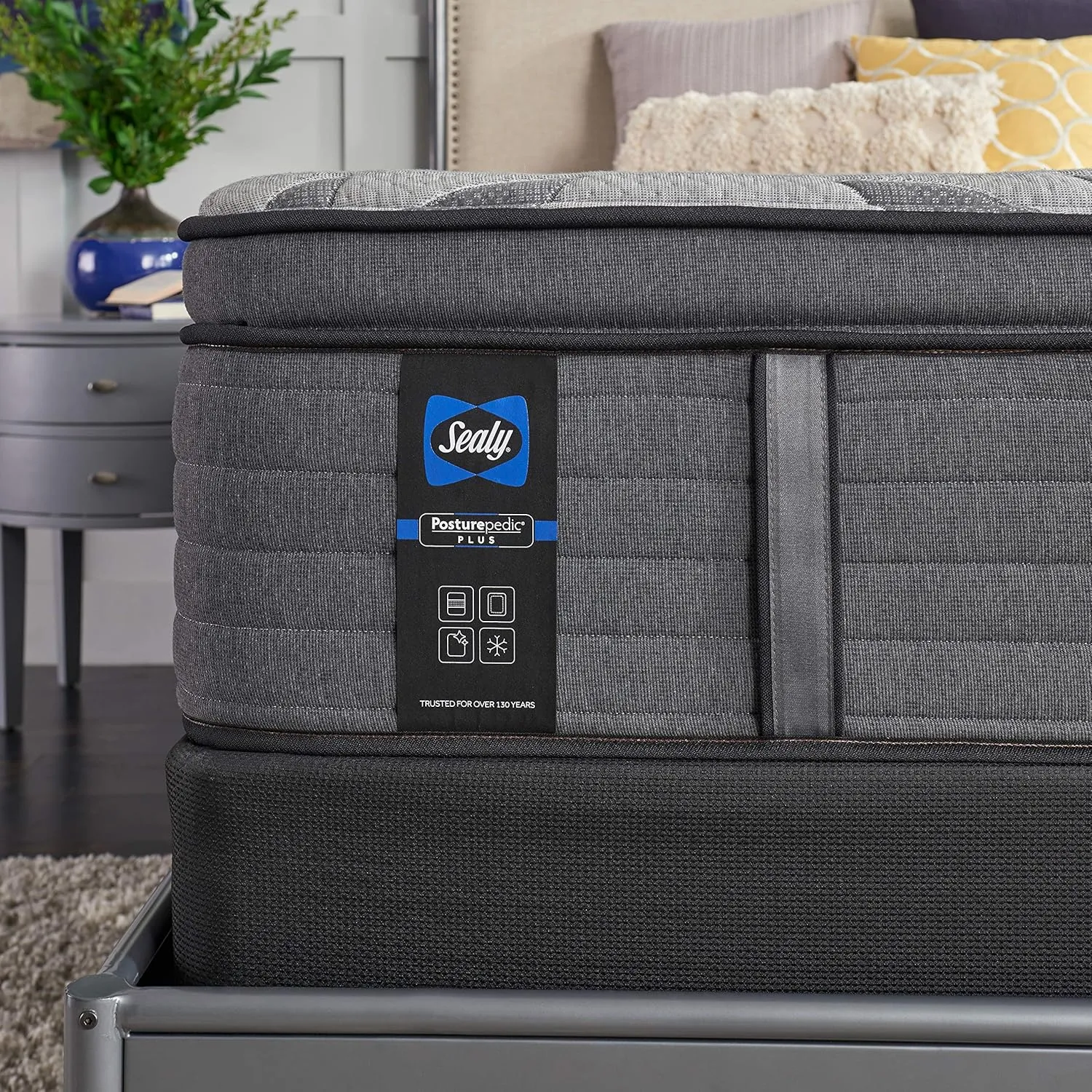 Sealy Posturepedic Plus 14" Euro Pillow Top Mattress with Cooling Air Gel Foam, Medium-Firm Memory Foam Mattress with Targeted Body Support, California King