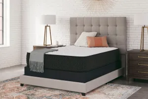 Sierra Sleep Limited Edition Firm Mattress