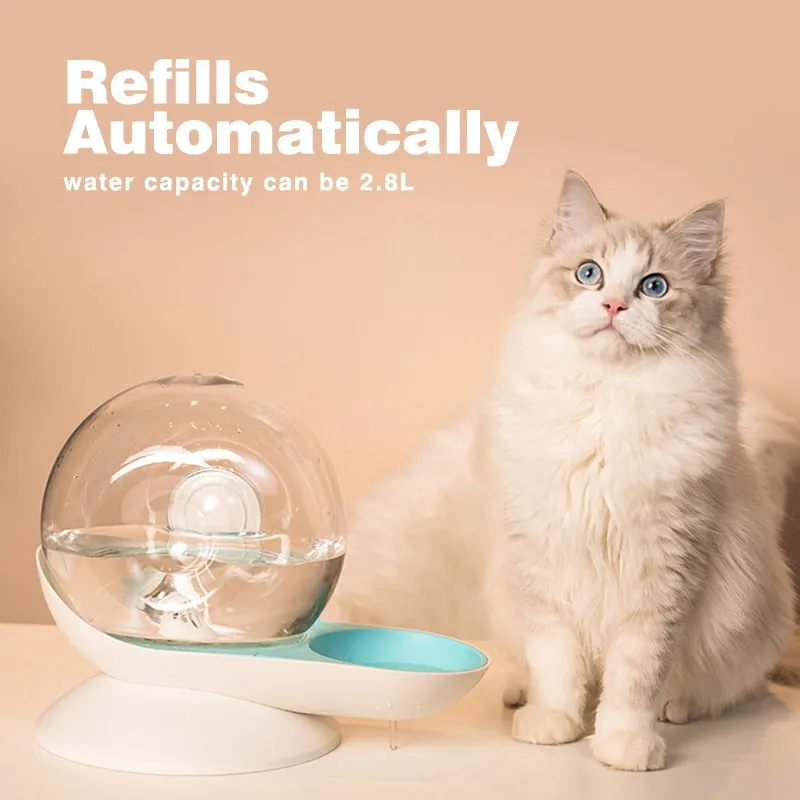 snails water cat fountain