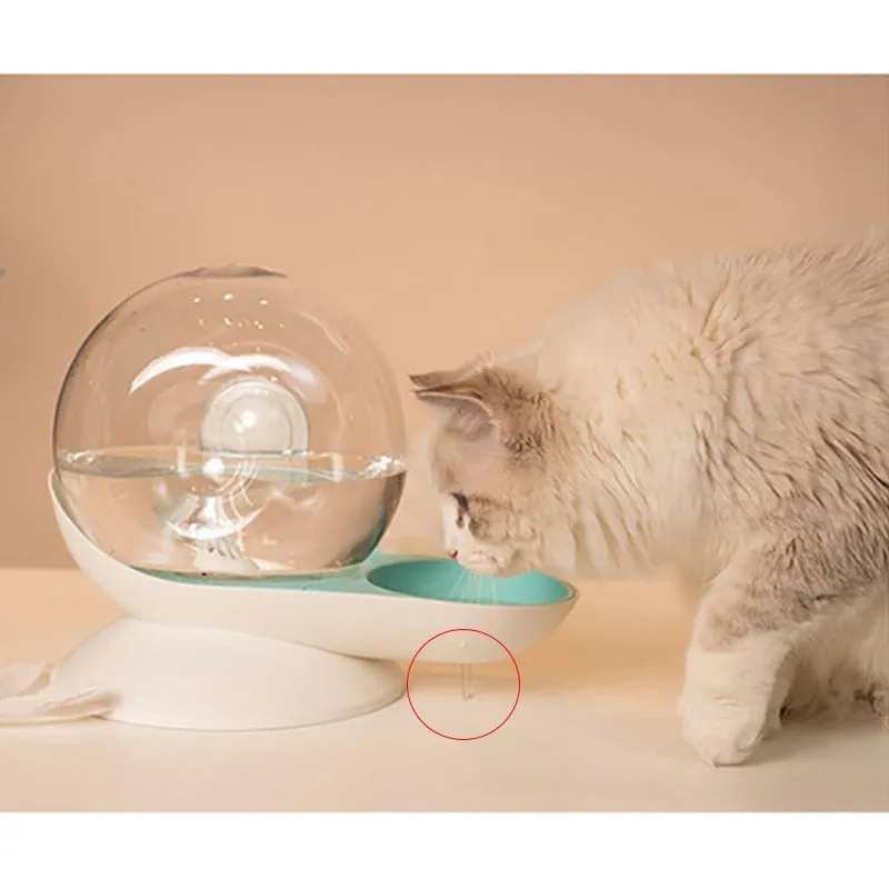 snails water cat fountain