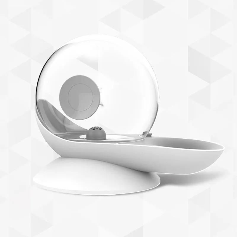 snails water cat fountain