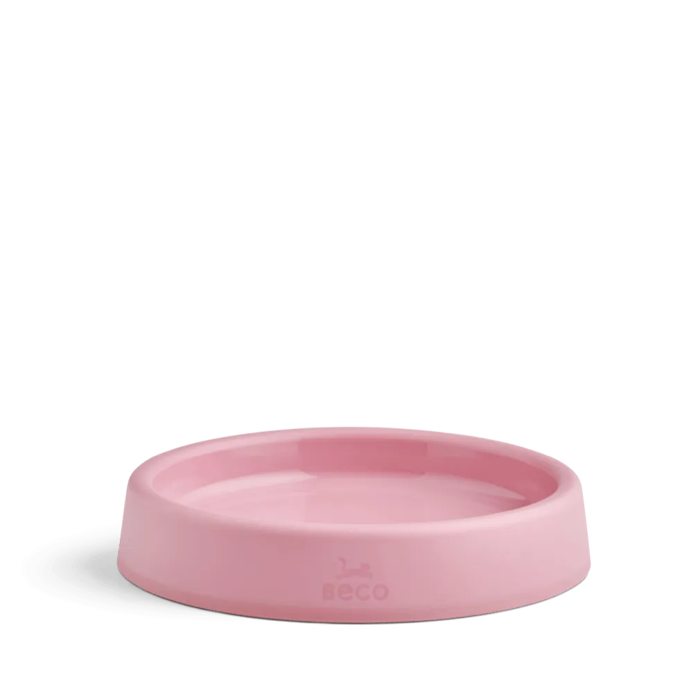 Steady Cat Bowl