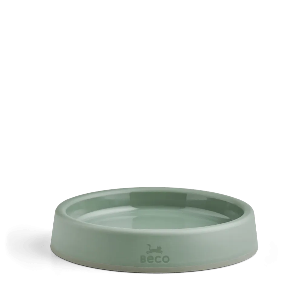 Steady Cat Bowl