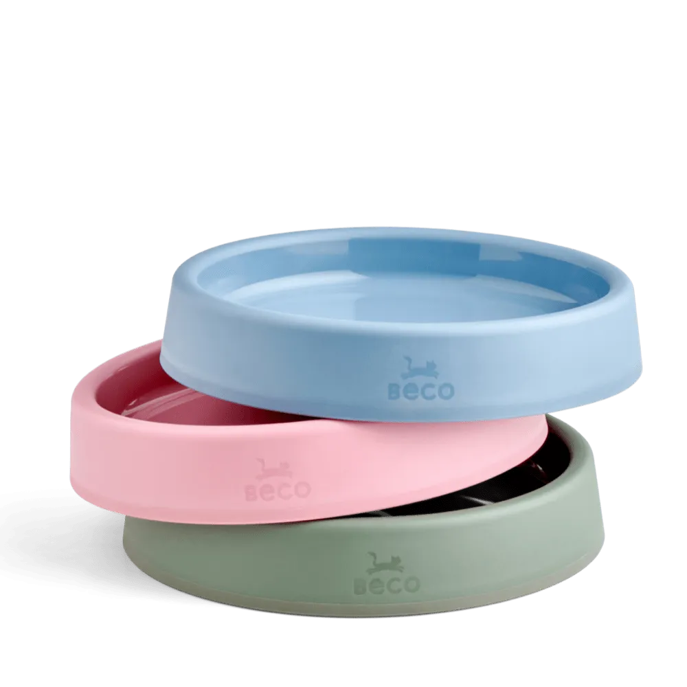 Steady Cat Bowl