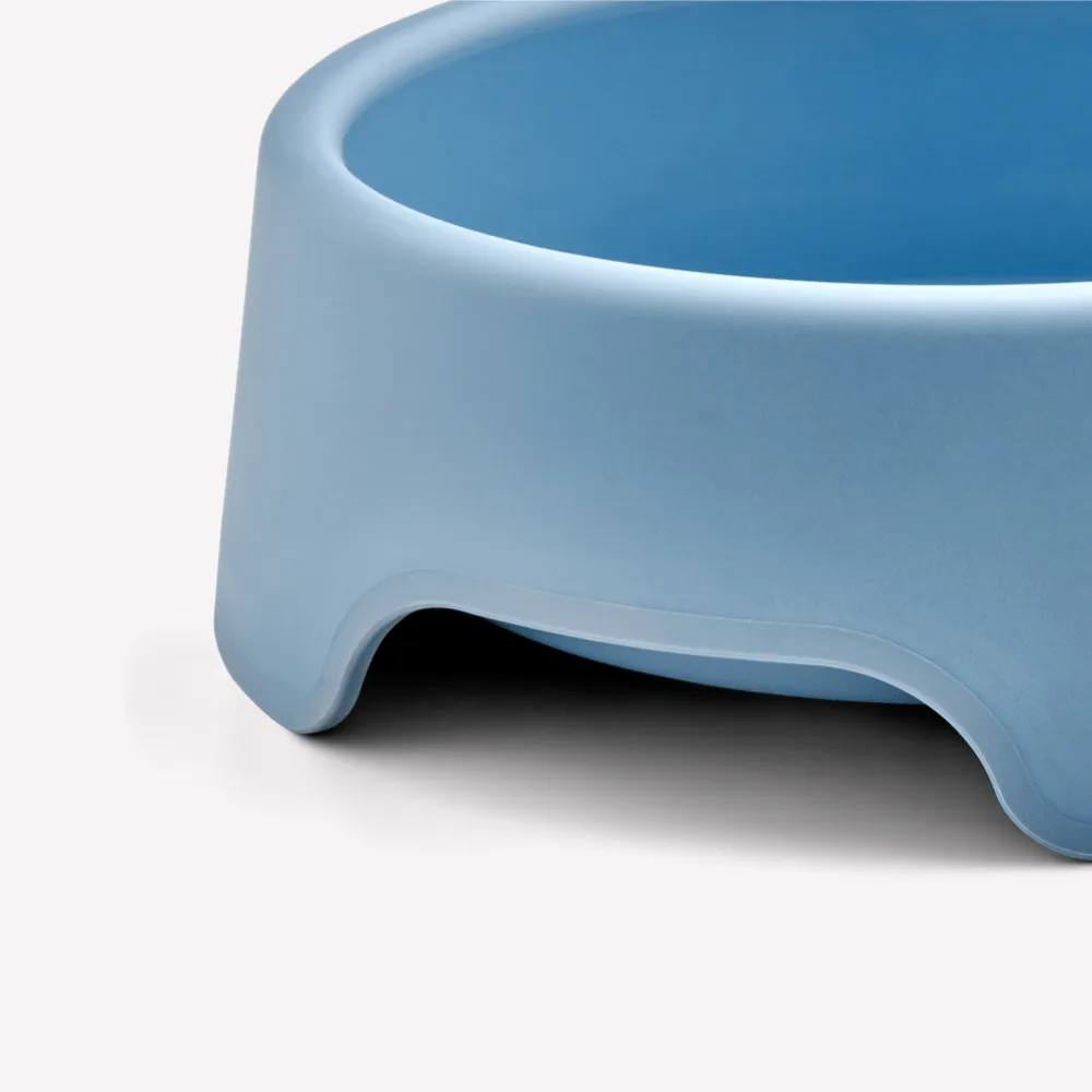 Steady Cat Bowl