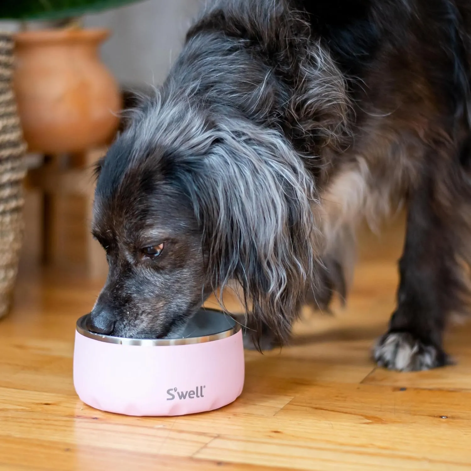 S'well Stainless Steel Pet Bowl, 16oz, Pink Topaz, for Small to Medium Size Dogs, Mess Free Design with Non Slip Rubber Bottom, Dishwasher Safe, BPA Free
