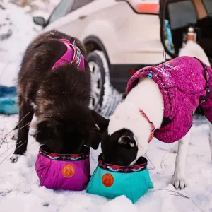 Travel Dog Bowl