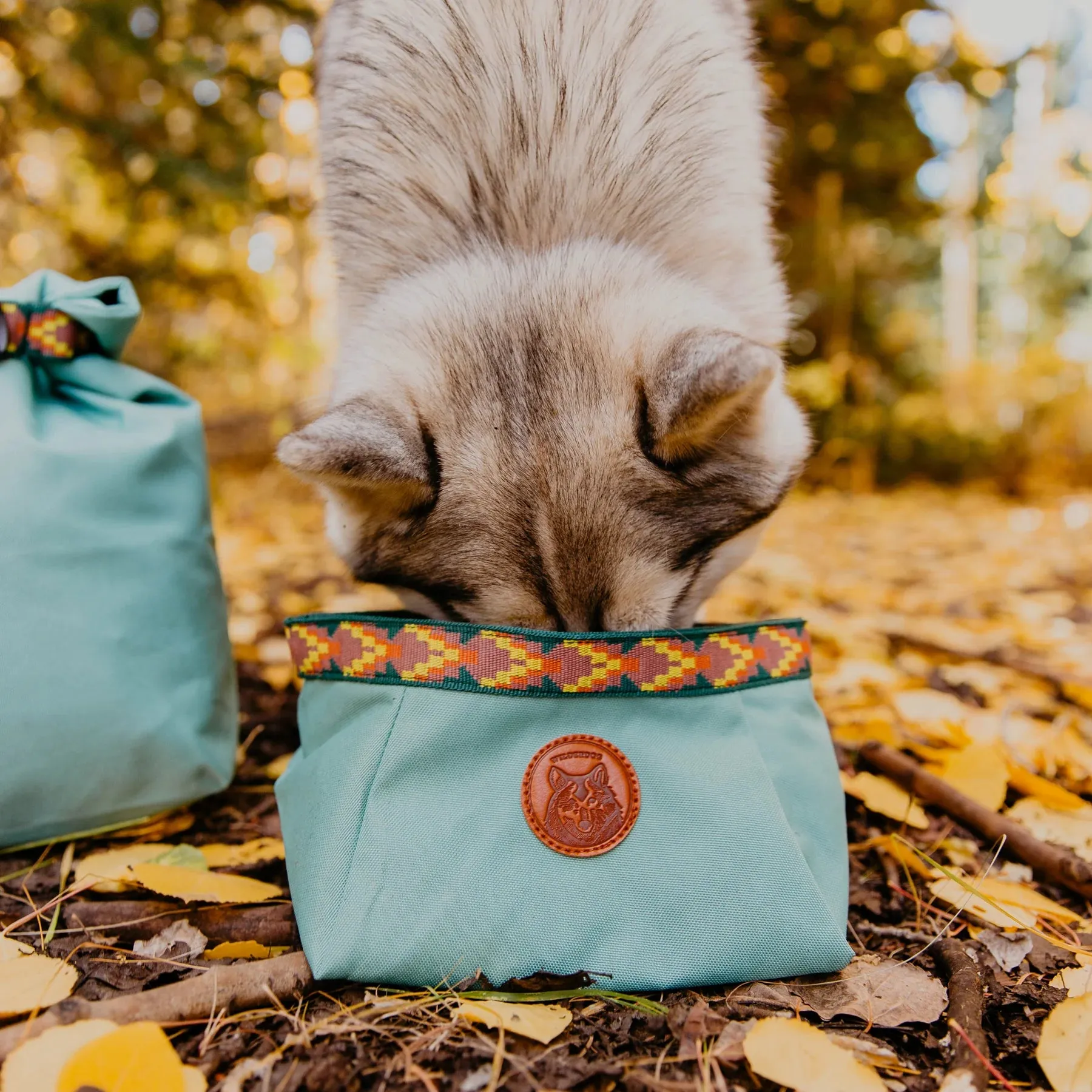 Travel Dog Bowl