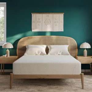 Tuft & Needle Kin Medium Plush 12" King Adaptive Foam Mattress in a Box, Cooling Gel, Pressure Relief, Durable Support, 100 Night Trial, Fiberglass Free, CertiPUR-US, 10-Year Limited Warranty