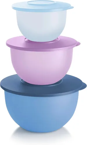 Tupperware Impressions Classic 3 Piece Food Storage Bowl Set in Blue and Purple, Dishwasher Safe and BPA Free (3 Containers, 3 Lids)