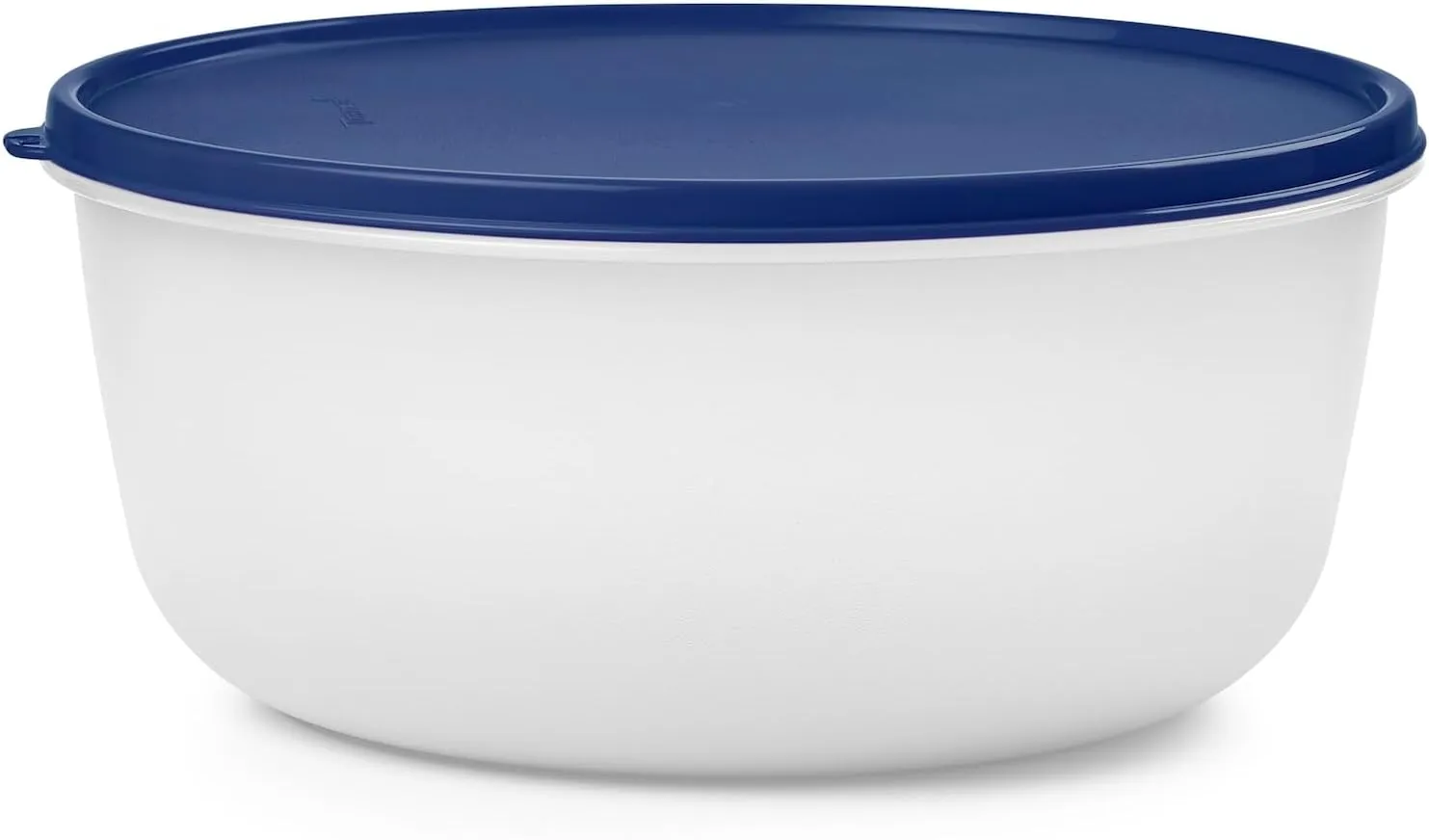 Tupperware Modular Bowl, Large 1.05 Gallon Food Storage Bowl, Dishwasher Safe and BPA Free (4 L)